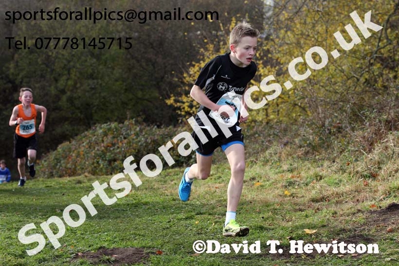 Boys under-13s 2017 Start Fitness North Eastern Harrier League, Aykley Heads, Durham. Photo:  David T. Hewitson/Sports for All Pics
